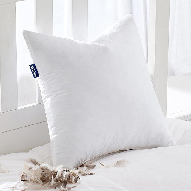MIULEE Feather Pillow Insert 26x26, Decorative Down Throw Pillow Insert Fluffy Throw Pillow Cotton Fabric for Sofa Bed Couch