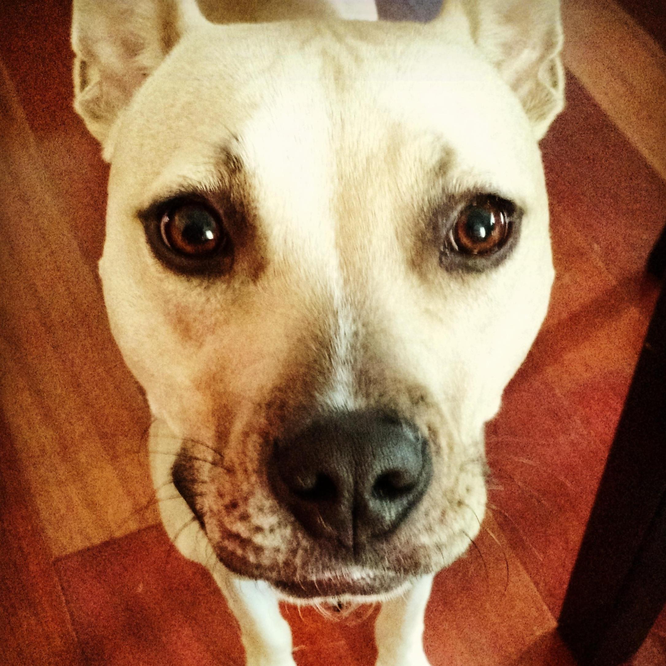 Because, Holly.