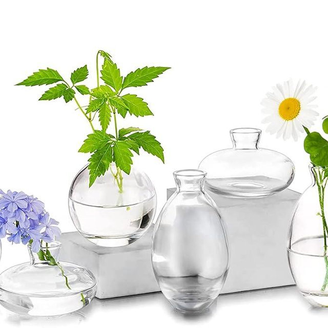 Glass Bud Vases Set of 6, Hewory Cute Clear Small Vases Handmade, Mini Glass Flower Vase for Floral Arrangement, Tiny Centerpiece for Wedding Party Events Home Office Table Decor (Not Include Flower)