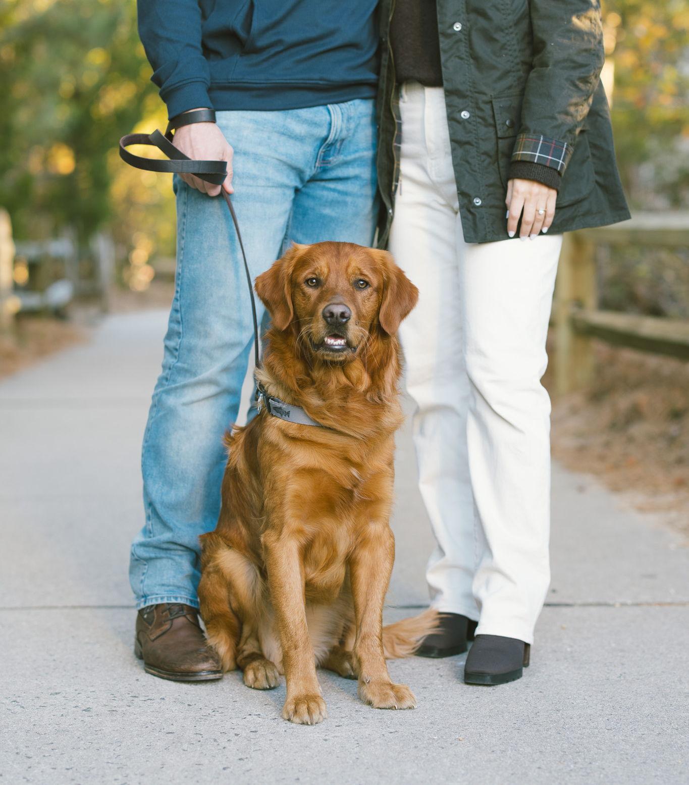 The Wedding Website of Morgon Von Schmidt and Sean Sleigh