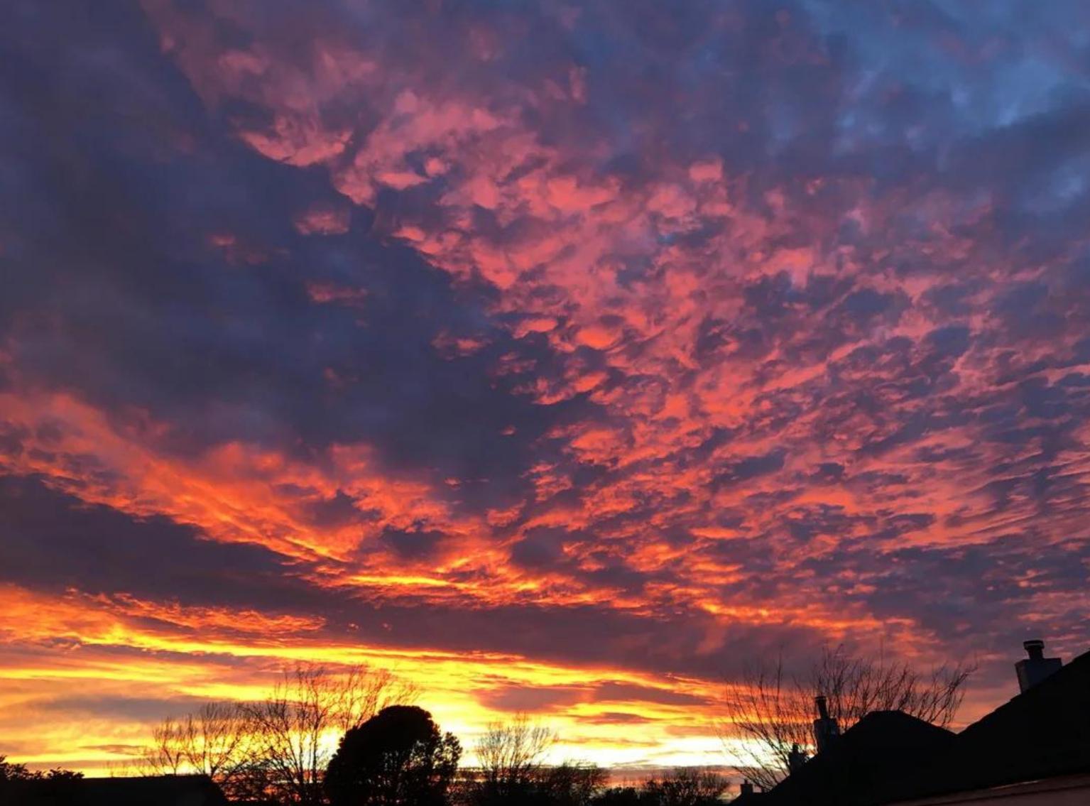 2ba10c57-4dad-4d91-8d77-b515c9187556