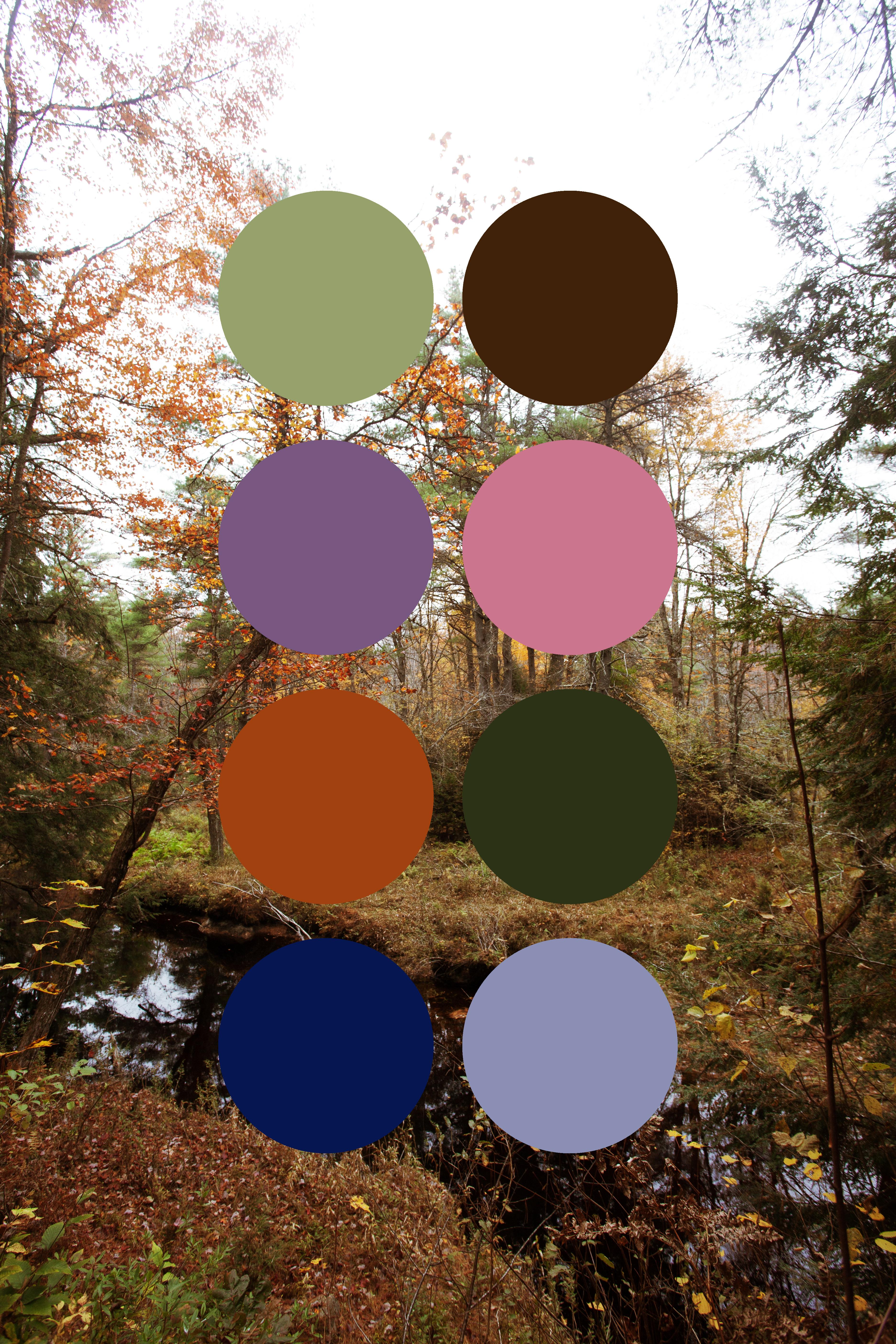 The Wedding Website of Ryan Carr and Rakeem Cunningham