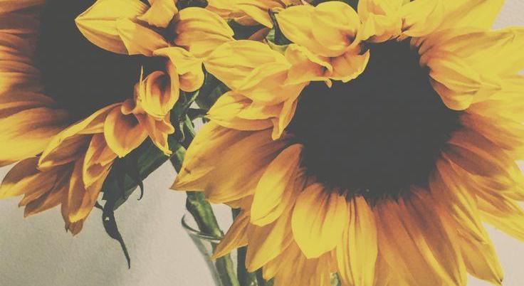 Footer image