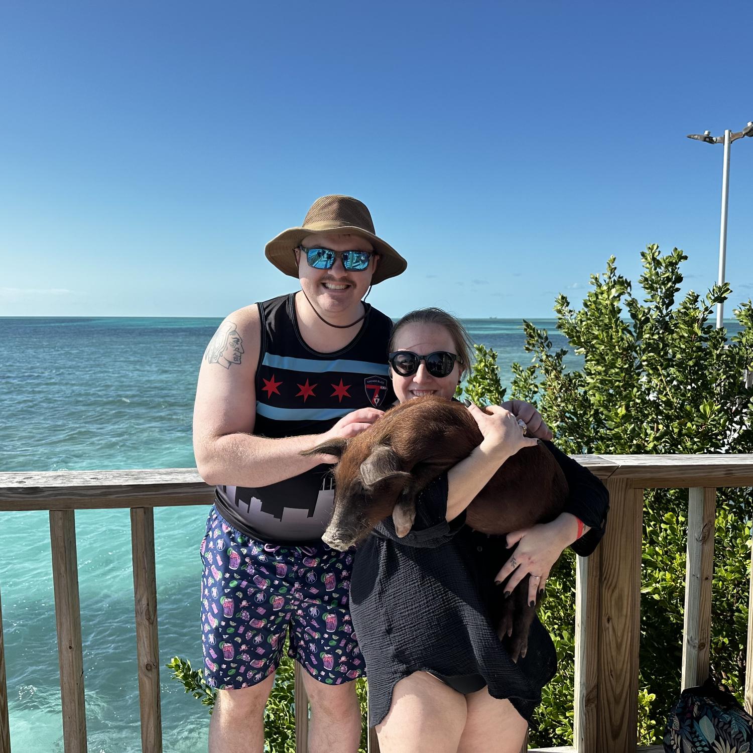 Swimming with pigs in the Bahamas