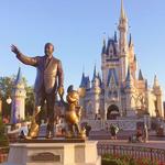 Walt Disney World® Resort