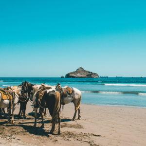 Horseback riding in Puglia