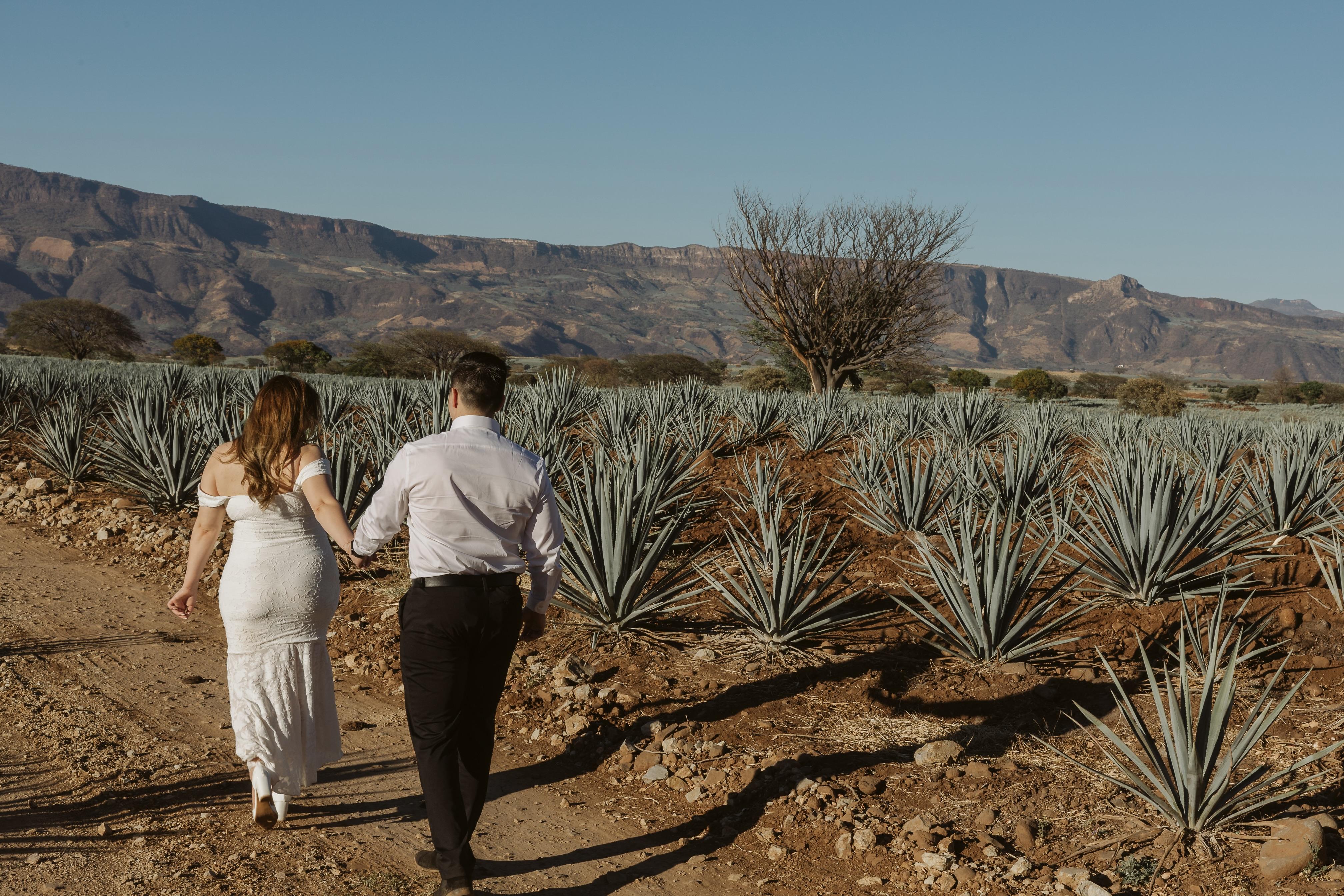 The Wedding Website of Wendy Hernandez and Jose Paz