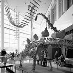 Science Museum of Minnesota