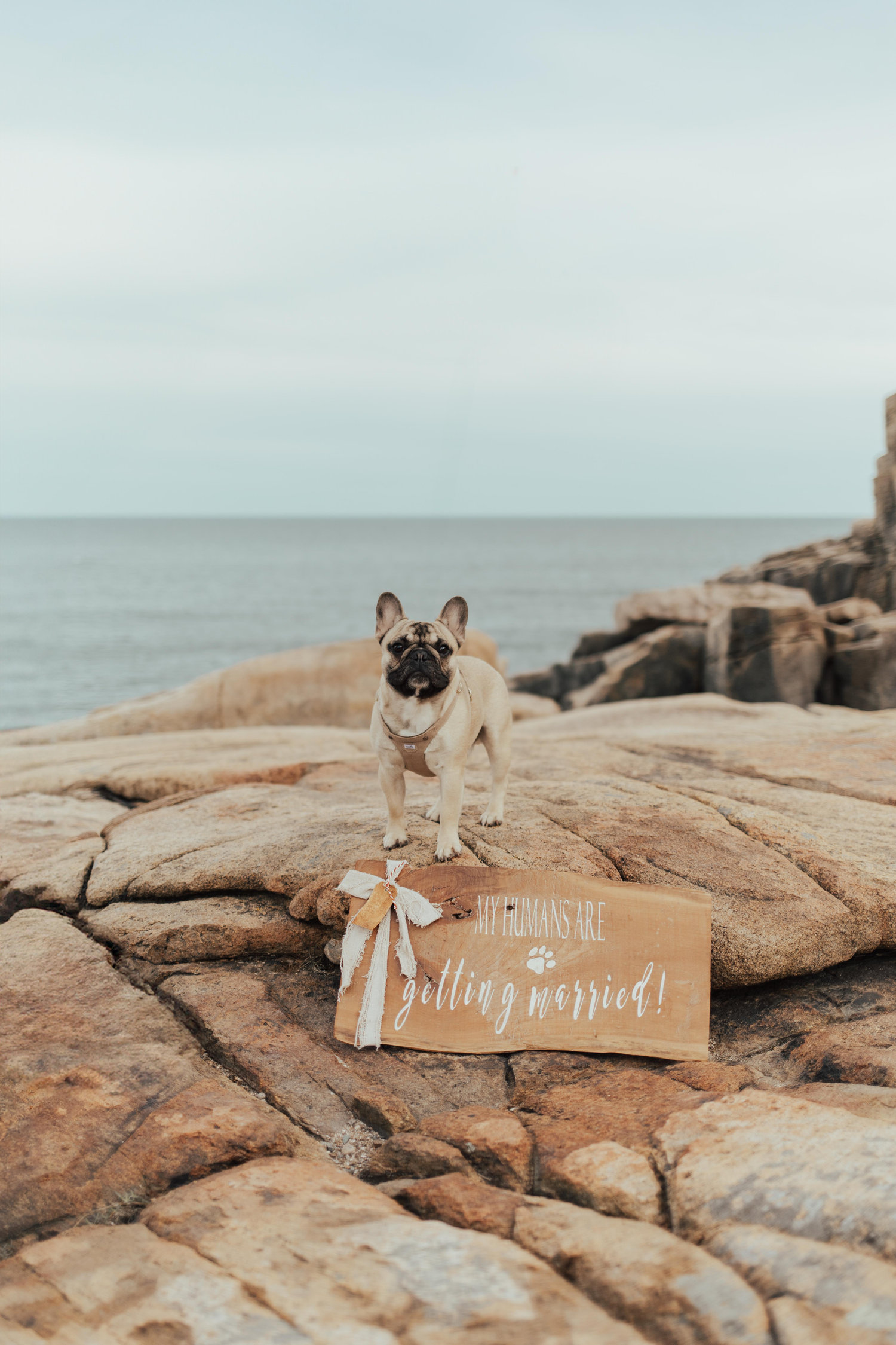 The Wedding Website of Bayley Riquier and Kisten Kilton