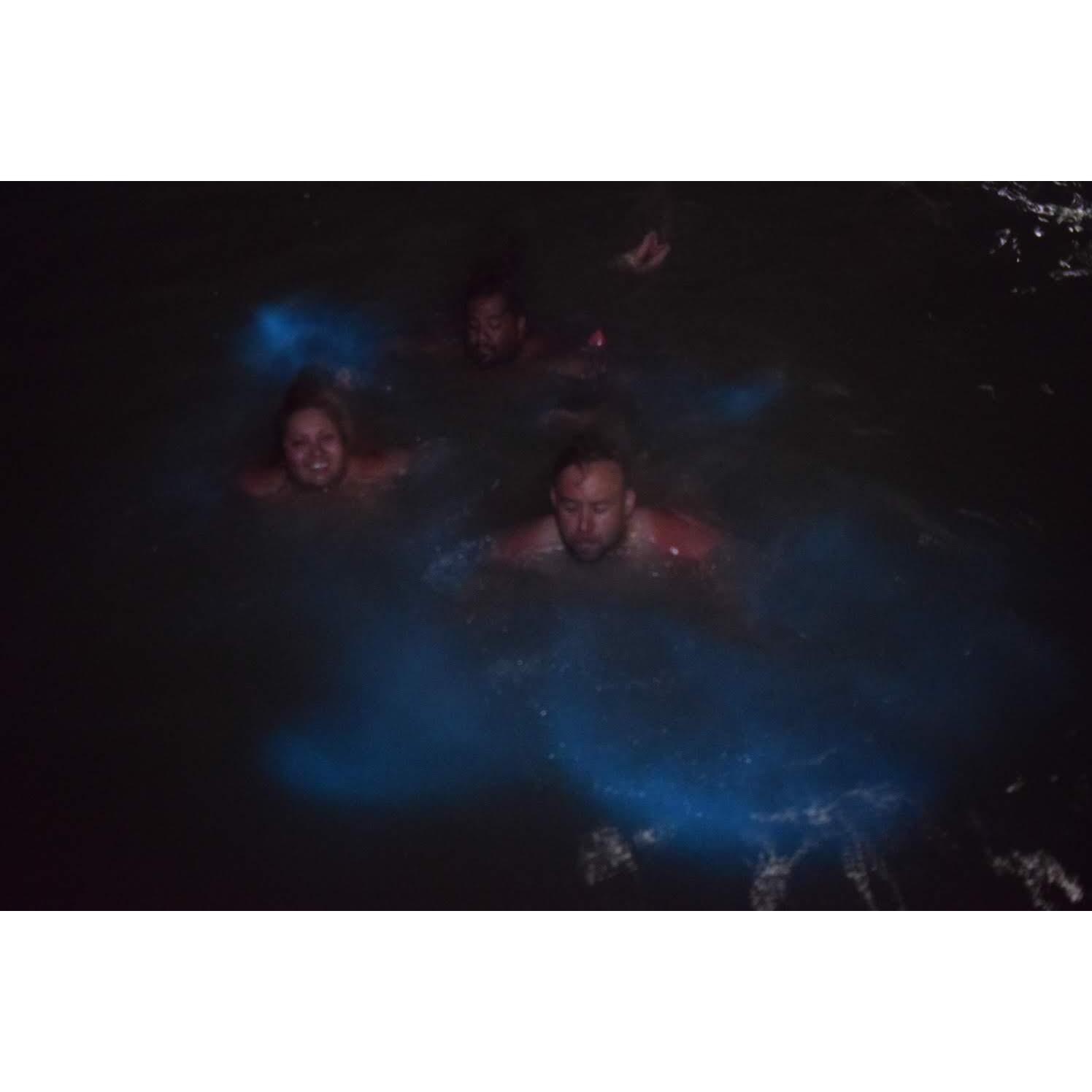 Luminous Lagoon, Falmouth, Jamaica