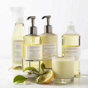 Williams Sonoma Meyer Lemon Essential Oils Collection - 6 Piece Set