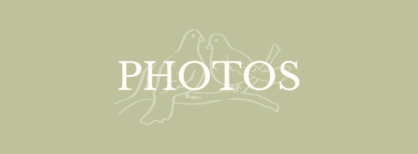 The Wedding Website of Grace Cathey and Tyler Thomas