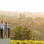 Ponzi Vineyards