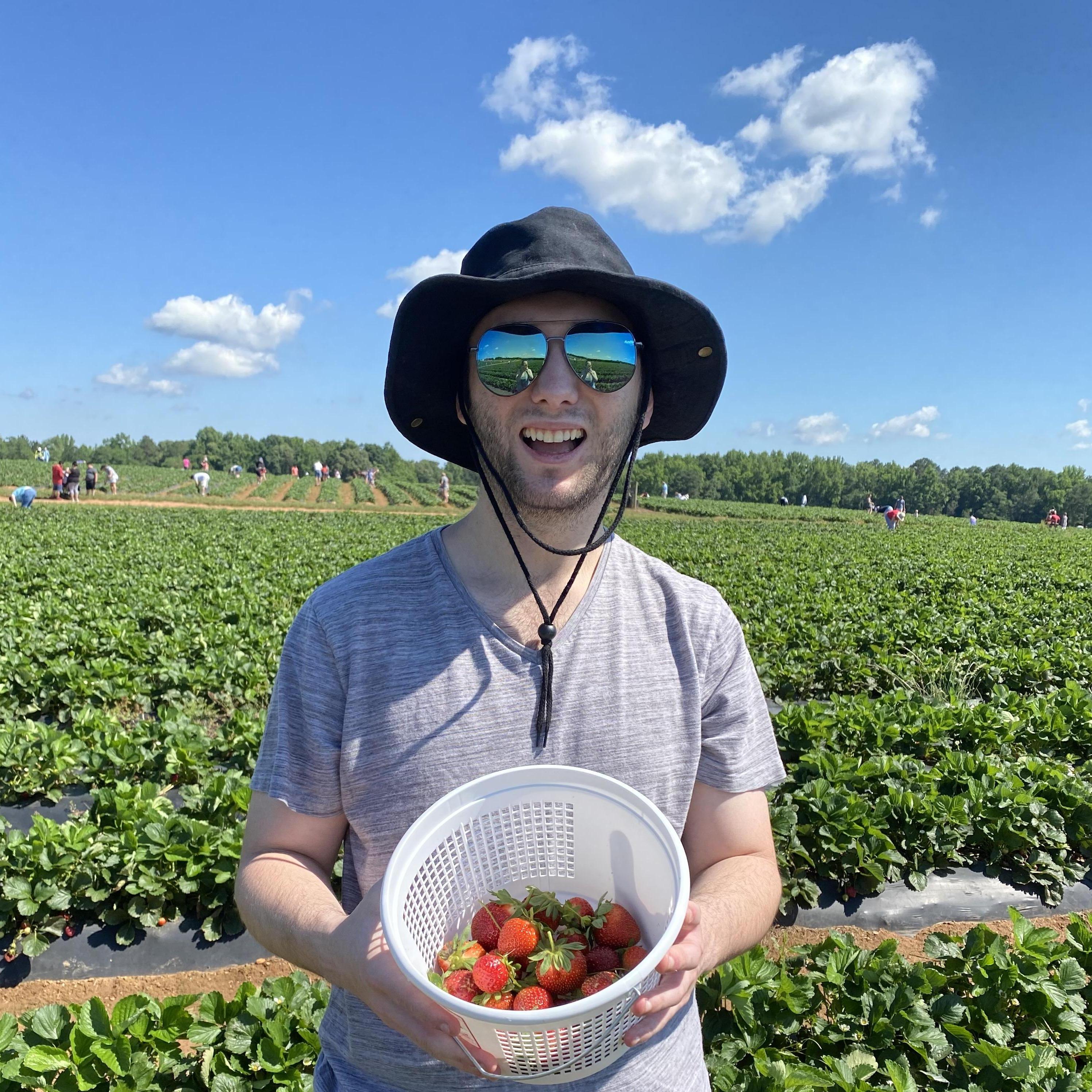 Strawberry picking 2019