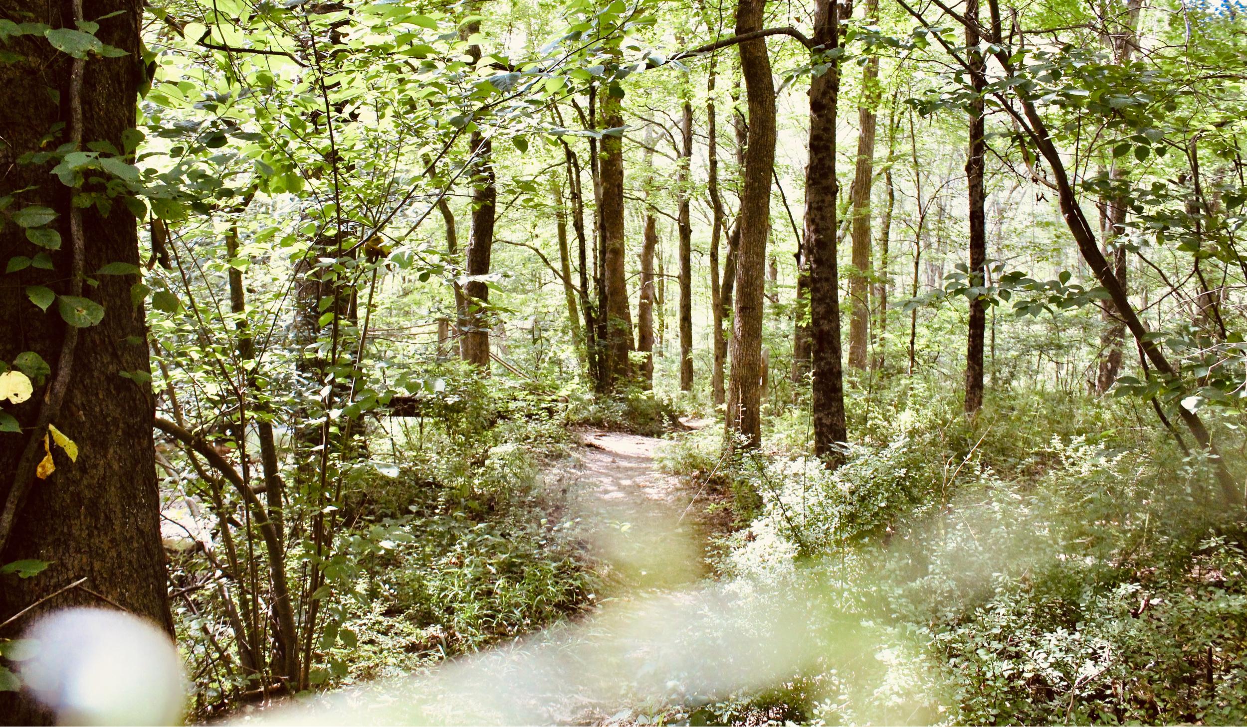 The Wedding Website of Erik Petersen and Lauren Little