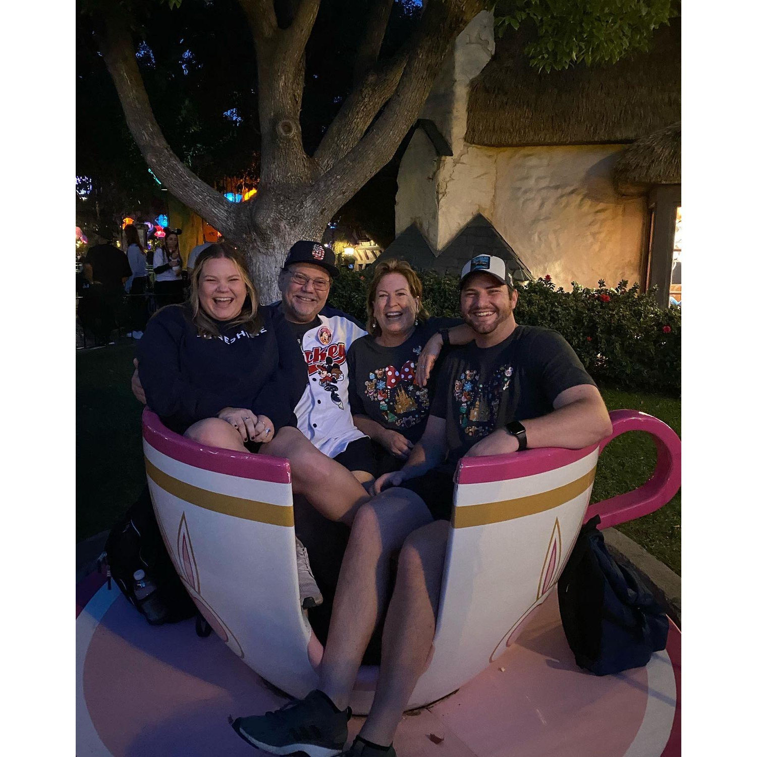 Disneyland
