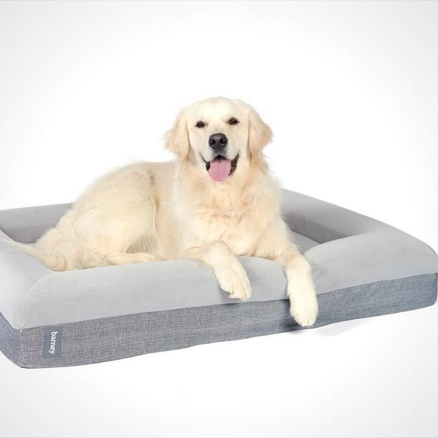 Barney Large Dog Bed