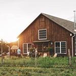 Arrowood Farms