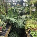 Leonardi's Nursery Landscaping