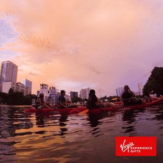 Guided Sunset Bat Tour for 2 - Austin