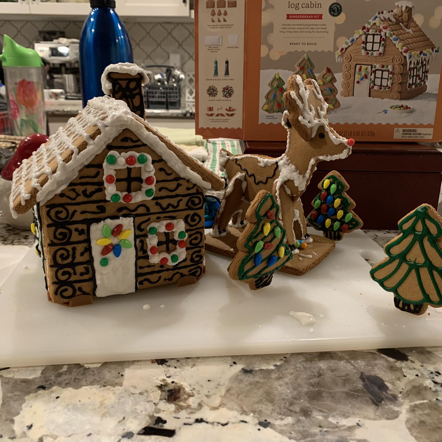 Our first gingerbread house!