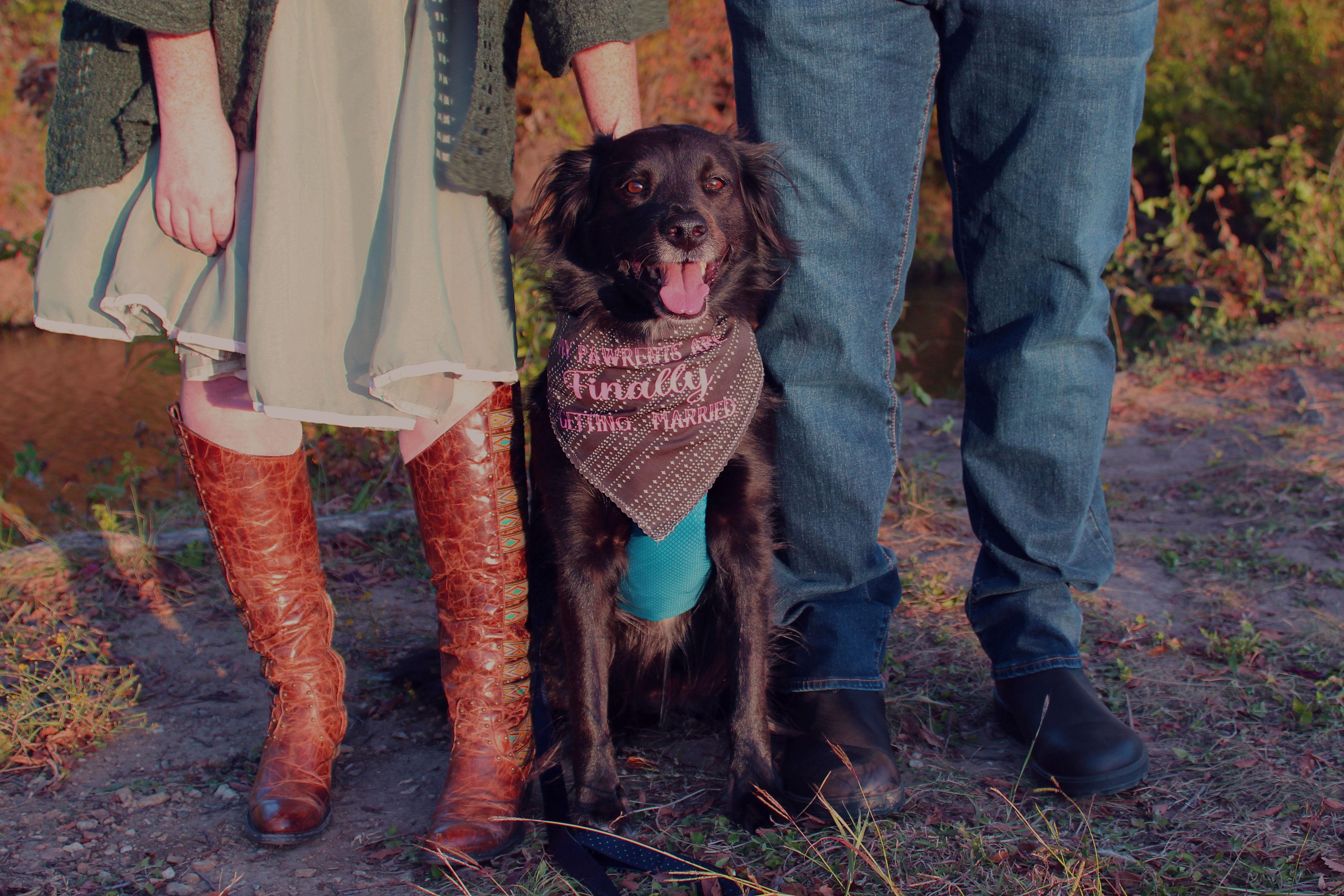 The Wedding Website of Amanda Carroll and Grayden Carroll