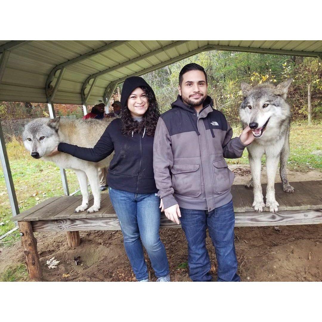 Just a couple of alphas