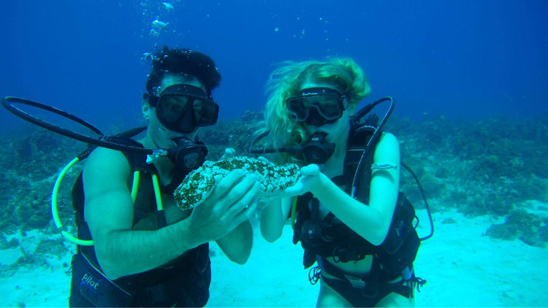 Our first time scuba diving in Jamaica!