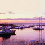 Sunset Picnic in Menemsha