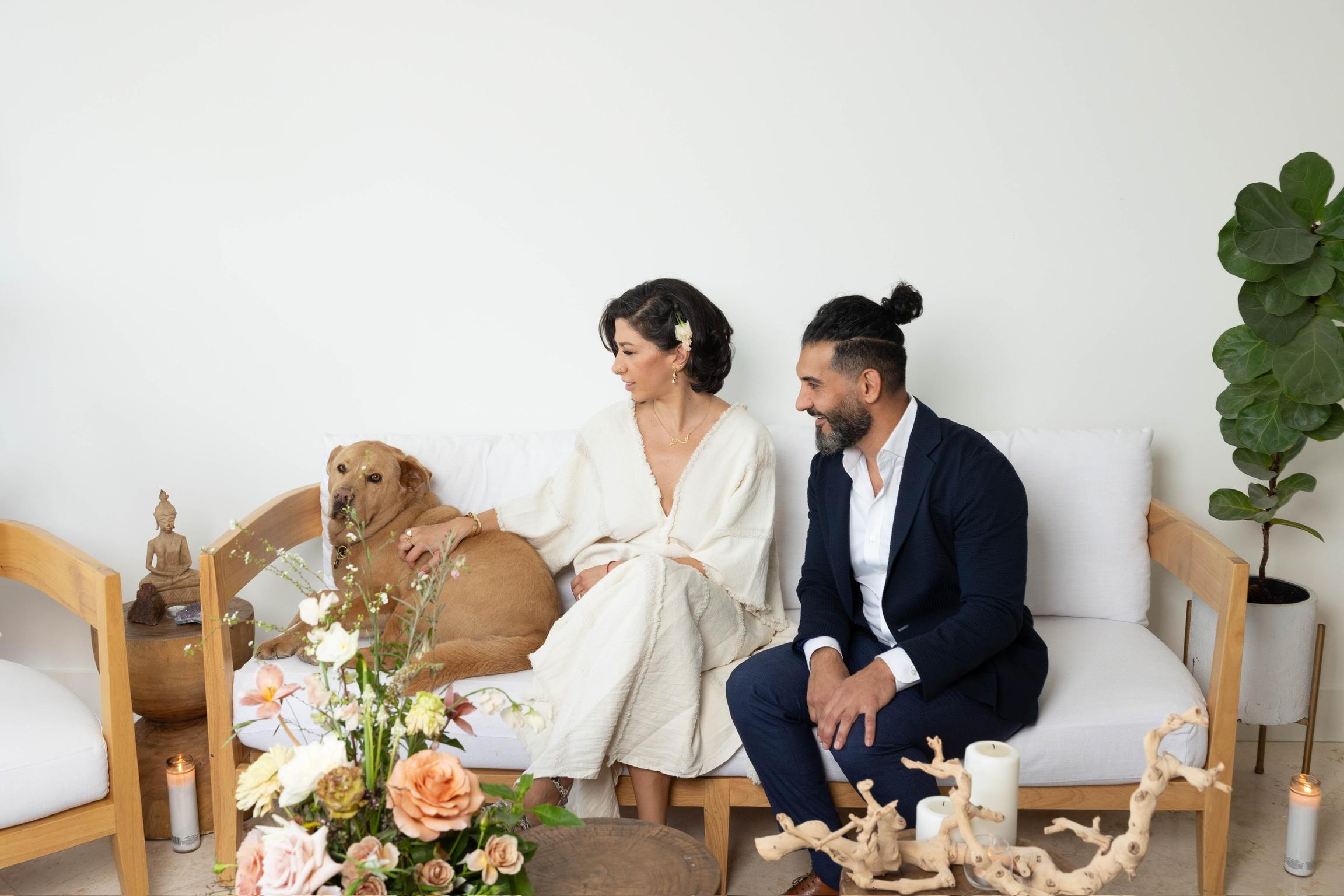 The Wedding Website of Bardia Danesh and Afra Yazdi