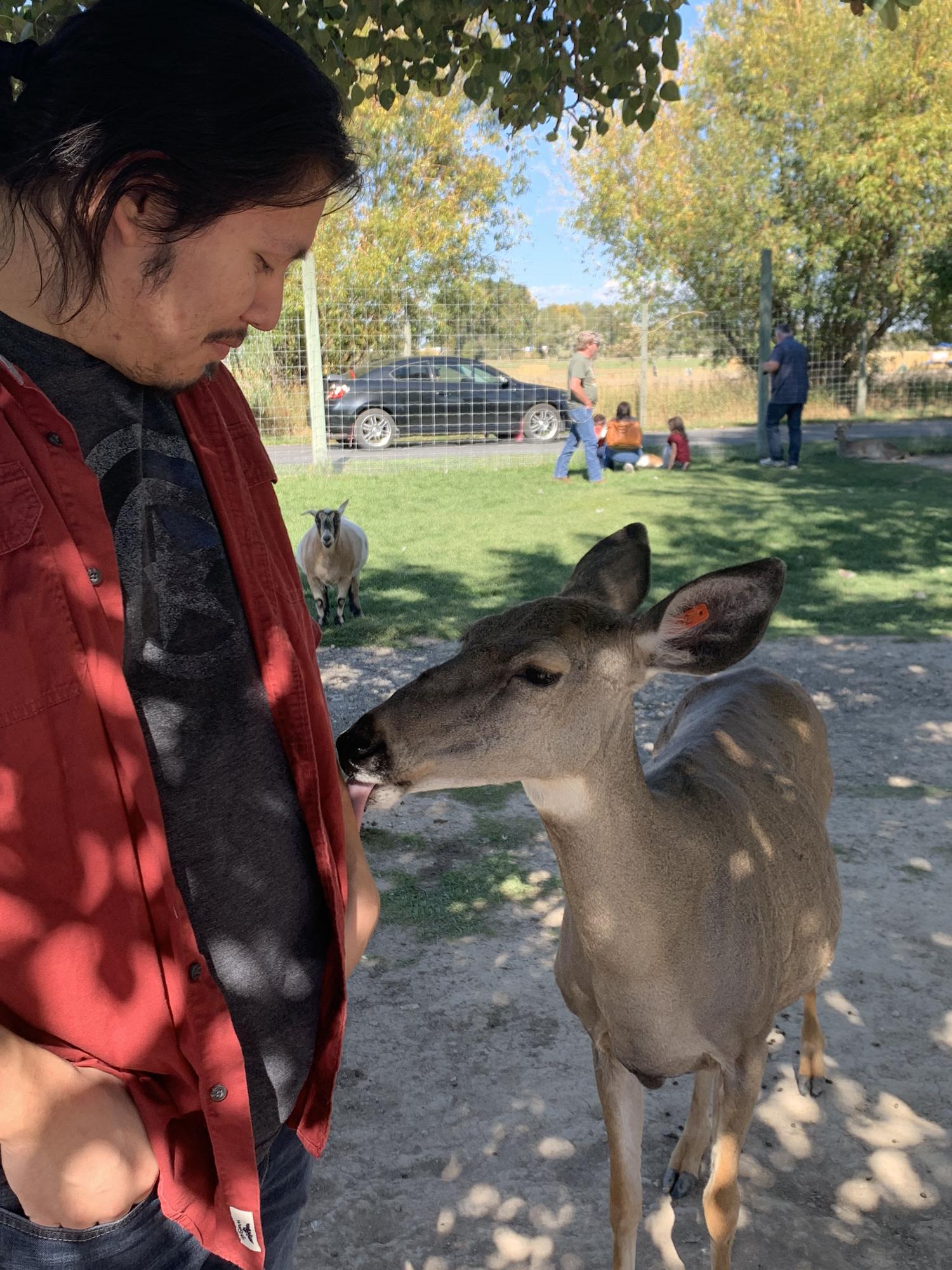 Making new friends