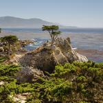 The 17-Mile Drive