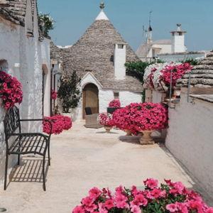 Alberobello Tour & Wine Tasting