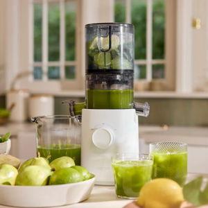 Nama J3 Cold Press Juicer