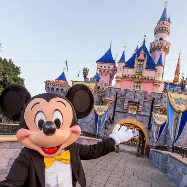 Familymoon-DISNEYLAND WITH LIAM!