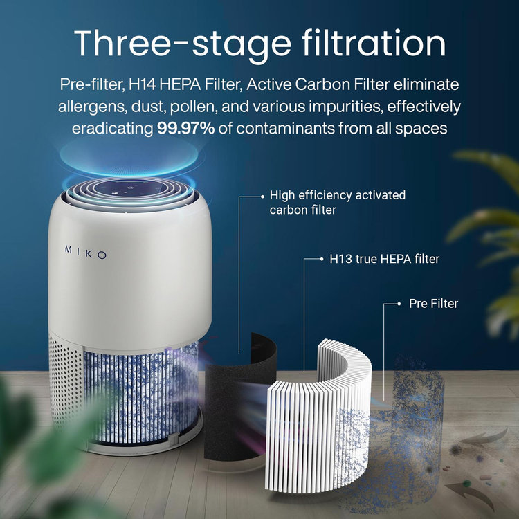 Miko, Ibuki + Air Purifier | Zola