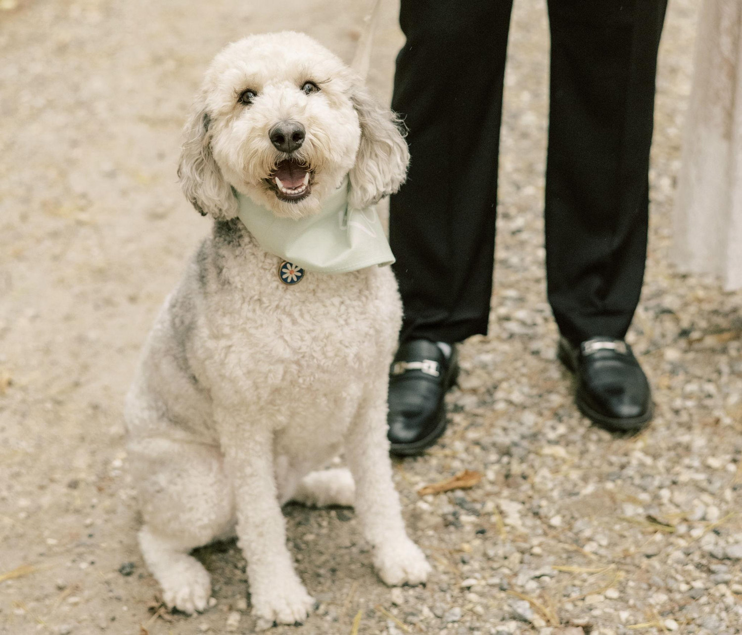 The Wedding Website of Katherine Alombro and Dakota Helm