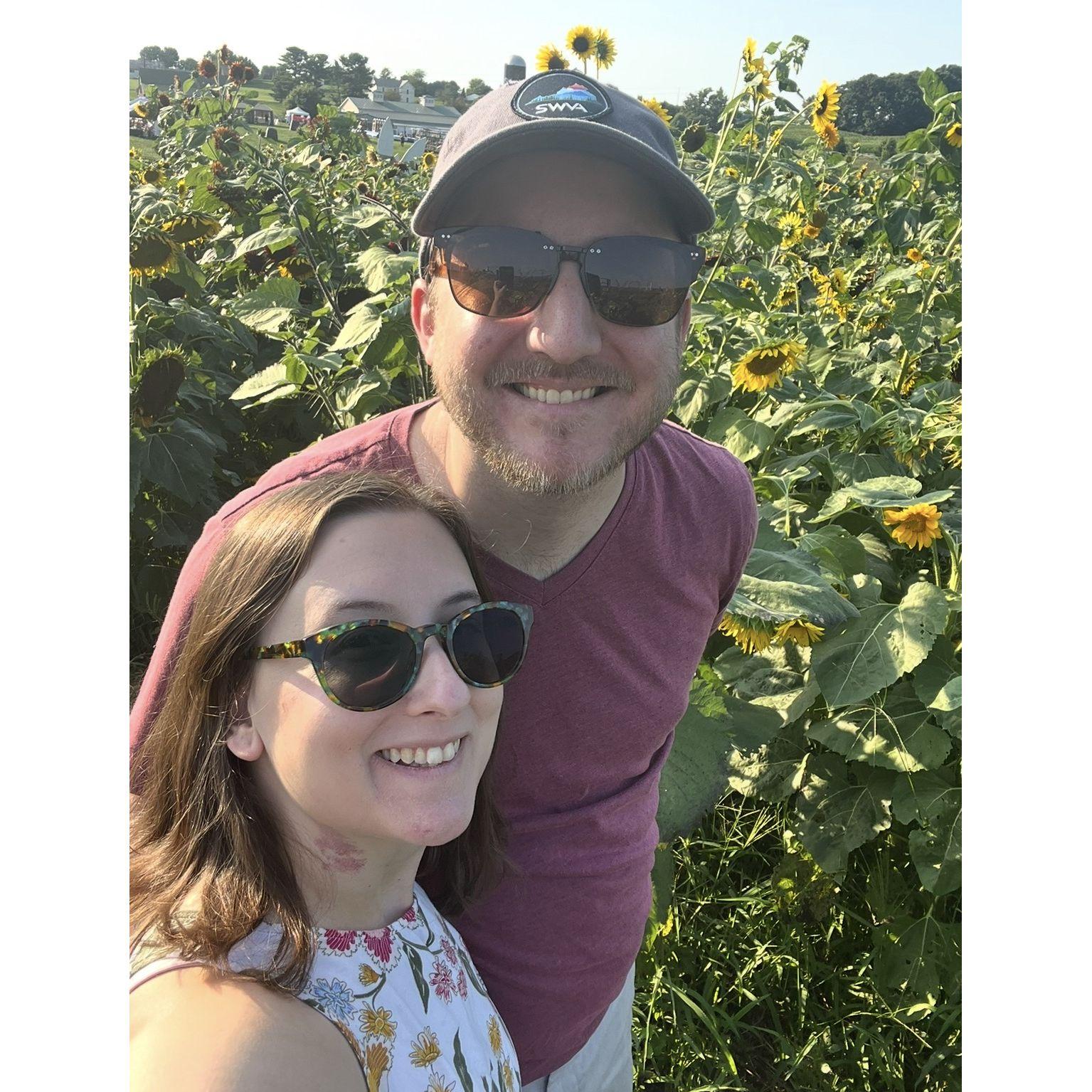 Sunflower Festival, August 2024