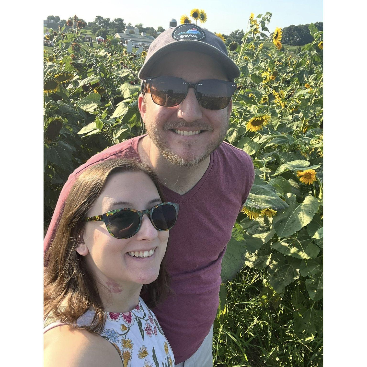 Sunflower Festival, August 2024