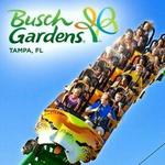 Busch Gardens Tampa Bay