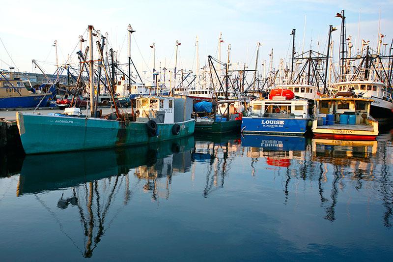 The Wedding Website of Liz Brown and Jim Tapper