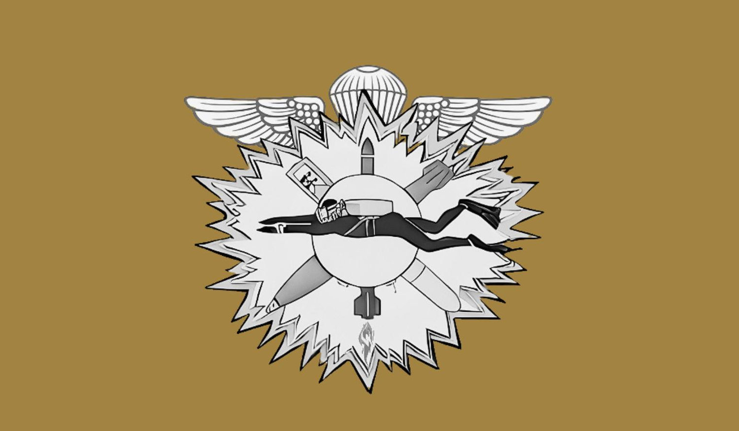 Footer image