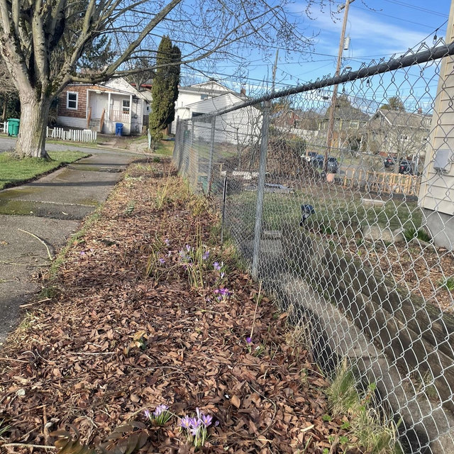 Replace Our Ugly Fence Fund