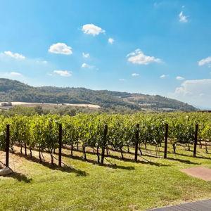 Visit Antinori nel Chianti Classico Winery