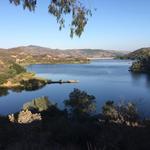 Dixon Lake