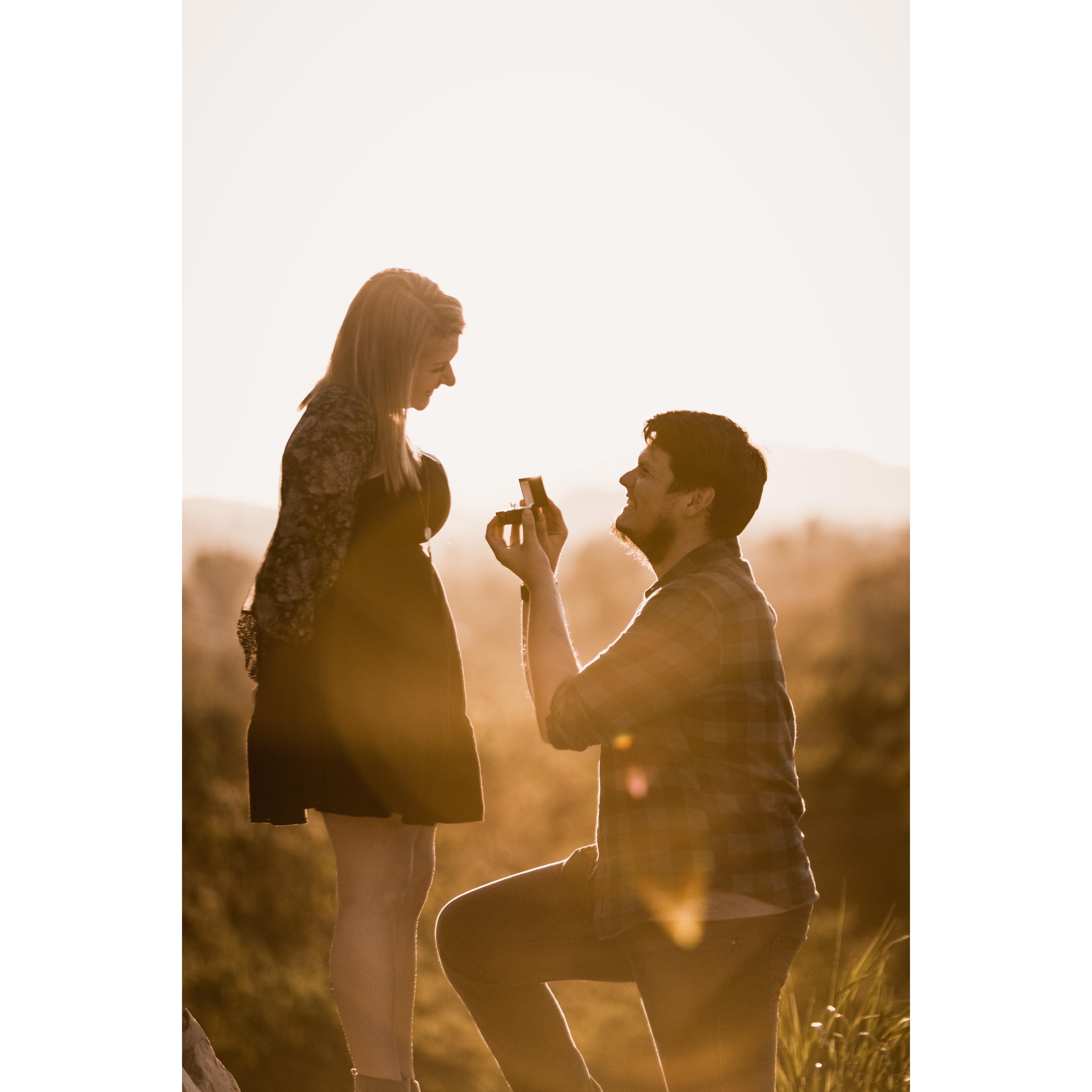 The moment the ring came out, and we were so excited for what lay ahead!