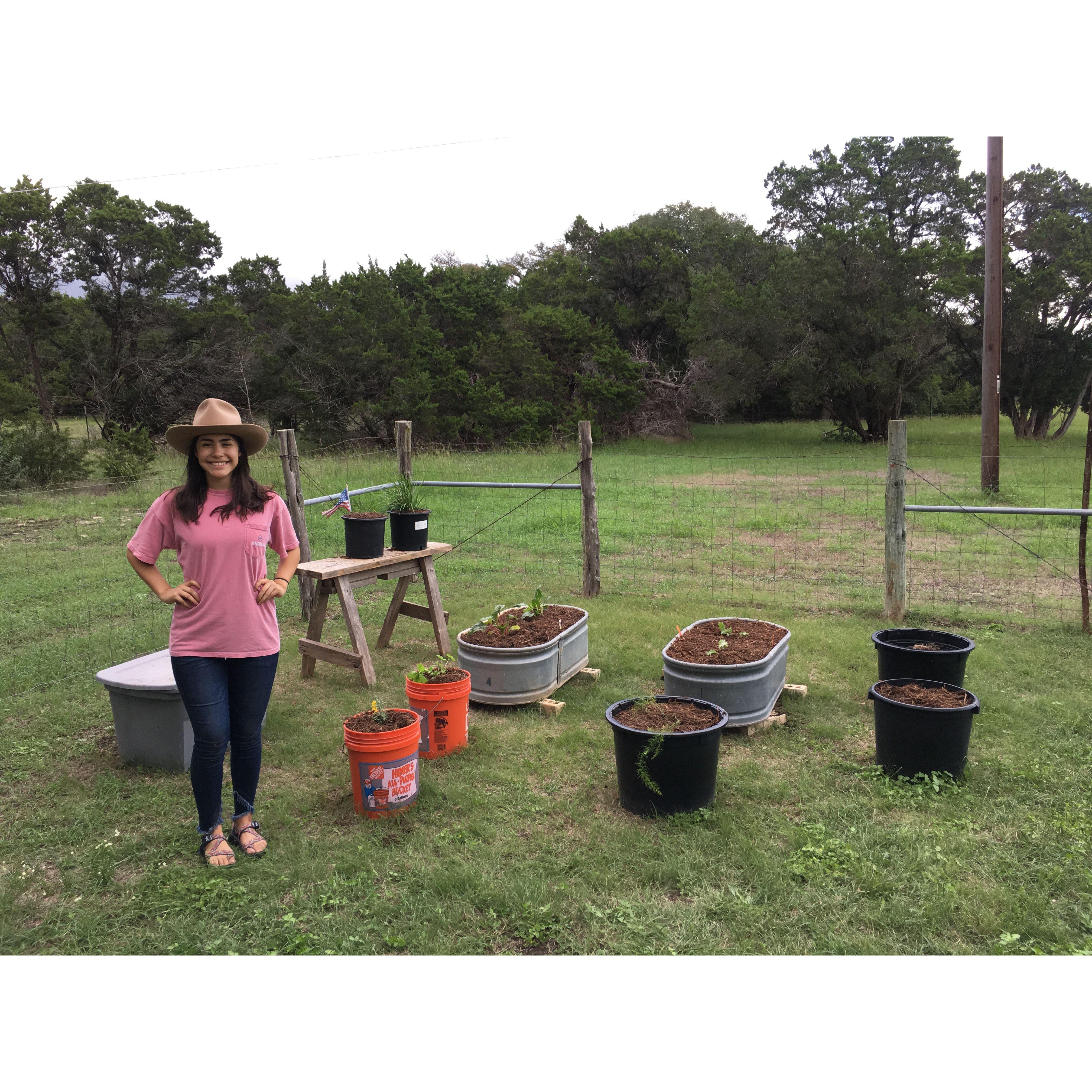 Our first garden together