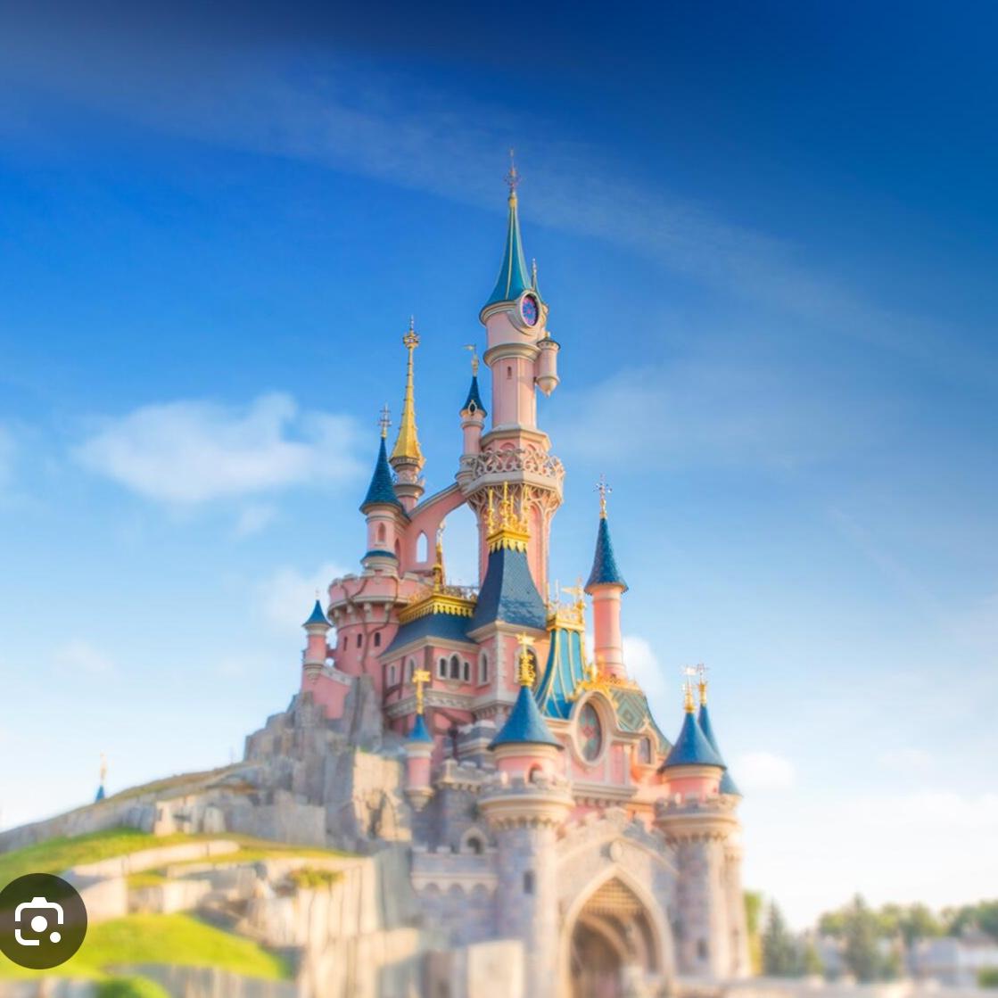 Disneyland Paris Fund
