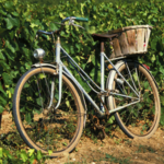 Napa Bike Rentals