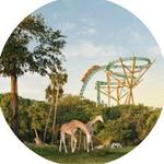Busch Gardens Tampa Bay